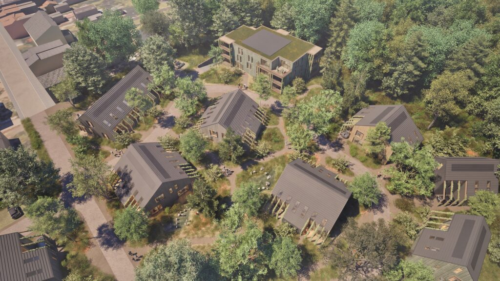 DRIEBERGEN_vogel-zoom_1