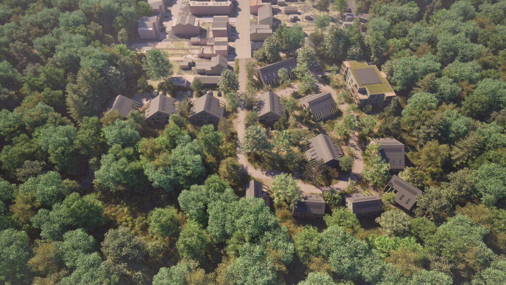 DRIEBERGEN_vogel2